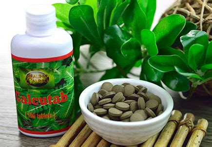healing galing calcutab|Herbal Calcutab • Content .